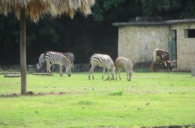 Parc Zoologique National 5